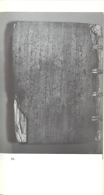 page 19 thumbnail
