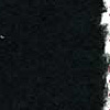 flyleaf 1 thumbnail