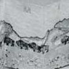 page 7 thumbnail